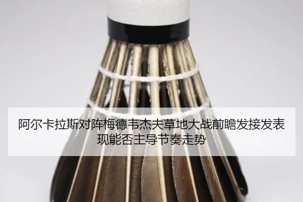 a-er-ka-la-si-dui-zhen-mei-de-wei-jie-fu-cao-di-da-zhan-qian-zhan-fa-jie-fa-biao-xian-neng-fou-zhu-dao-jie-zou-zou-shi-2-203.jpg